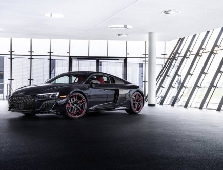 Meow! Turn Heads in the Audi R8 Panther