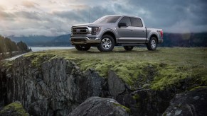 A 2021 Ford F-150 Platinum in Iconic Silver stands atop a grassy cliff overlooking water and pine trees
