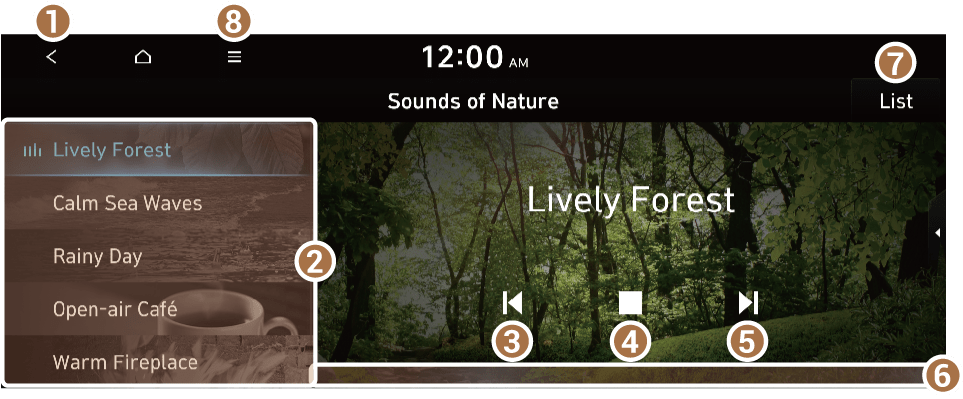 an image from the Hyundai Sonata manual showing how to use Nature Sounds 