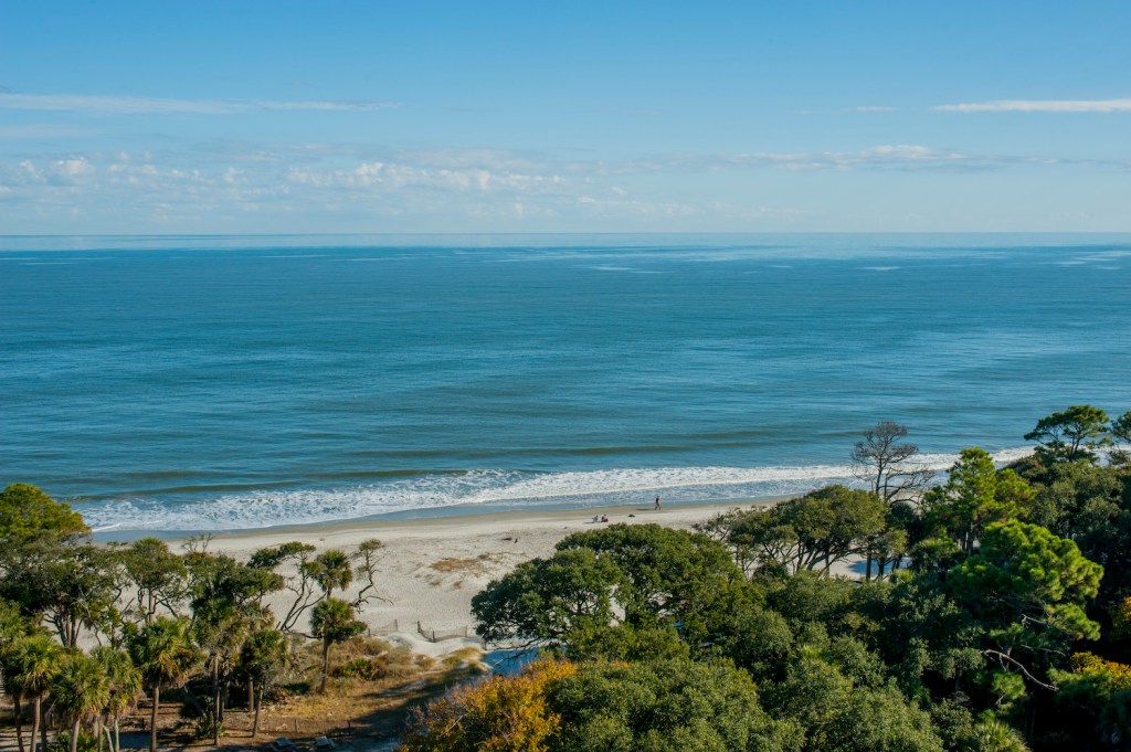View from the Hunting Island Lighthouse, located in Hunting Island State Park on Hunting Island near Beaufort, South Carolina, USA.