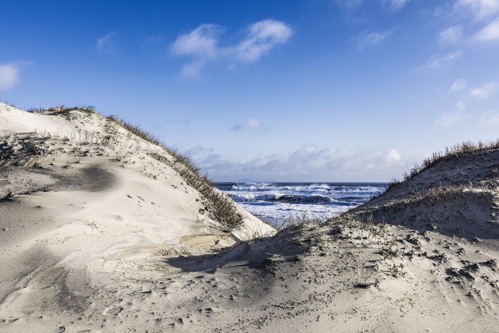 Dunes and beach in the Outer Banks of North Carolina.