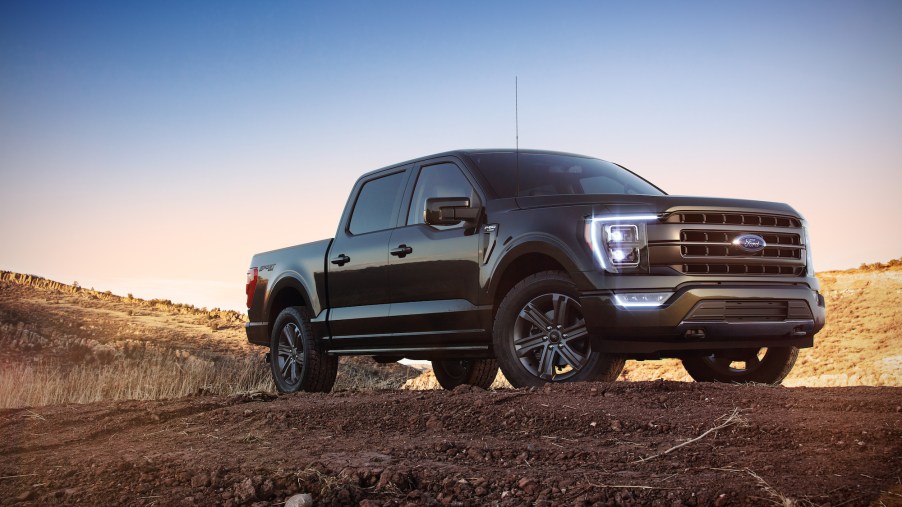 A black 2021 Ford F-150 stands atop a hill