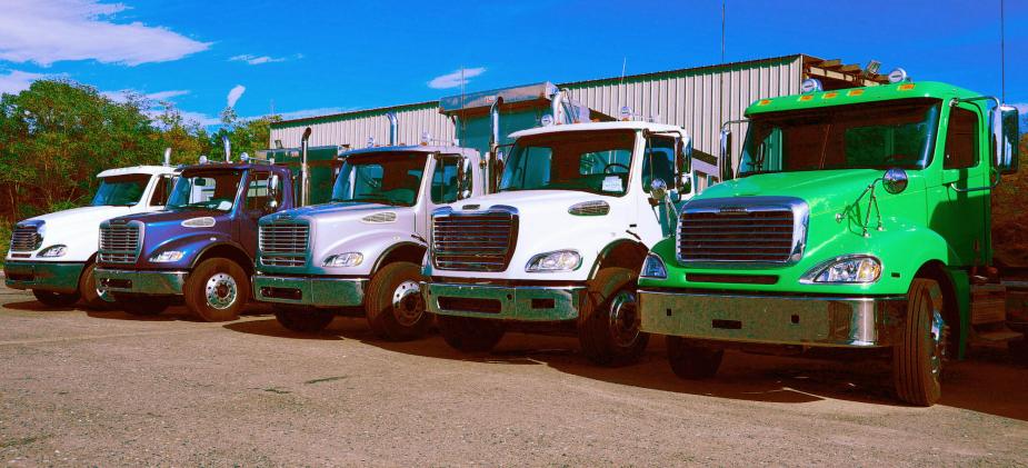 Freightliner heavy-duty trucks, made by Daimler Trucks North America, are seen in this October 14, 2008, image taken in Gainesville, Virginia.
