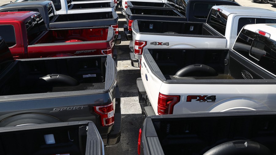 Two rows of Ford F-150 pickup trucks