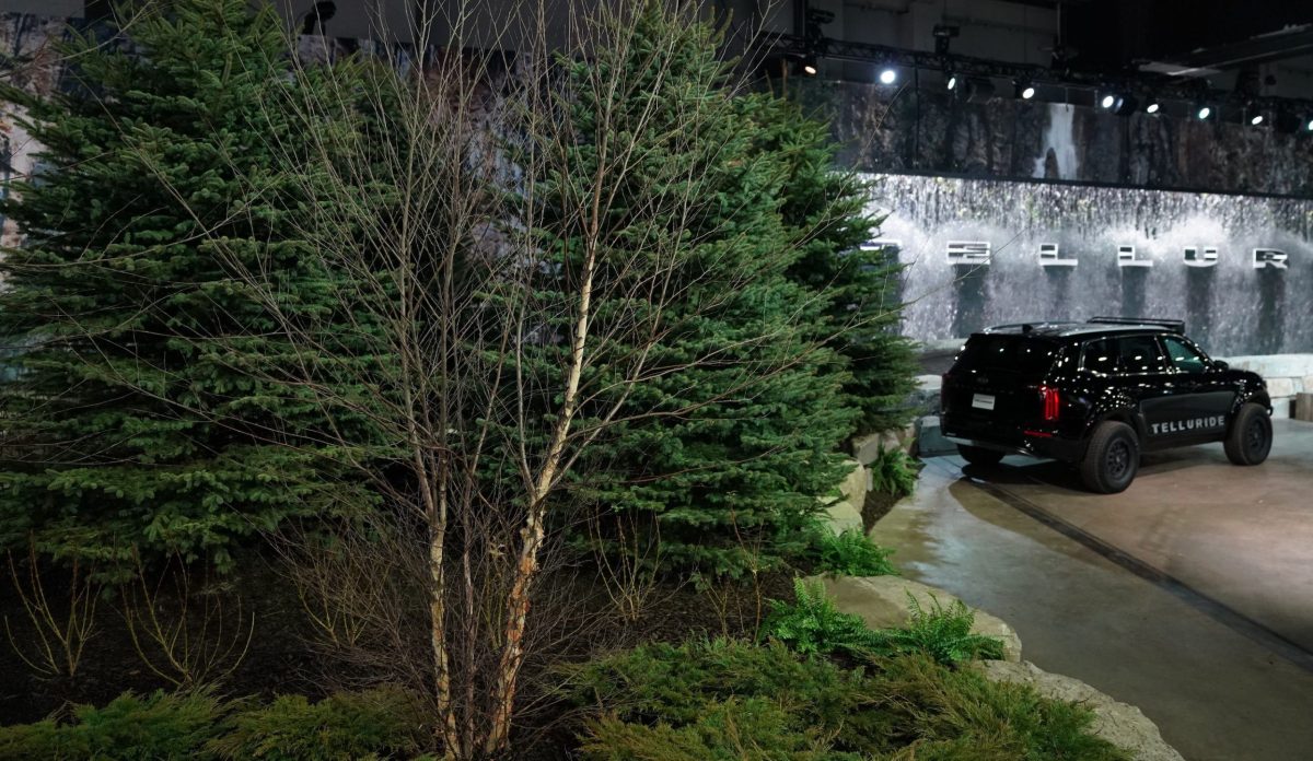 Not Even Snow Can Stop the 2020 Kia Telluride From Being Great