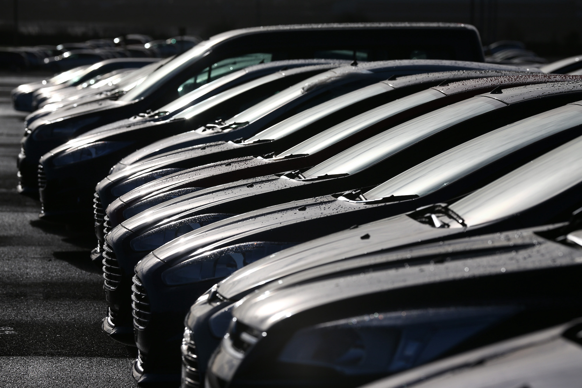 Vehicles lined up on a car lot