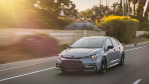 A silver 2021 Toyota Corolla Apex travels on a road along a wall and foliage