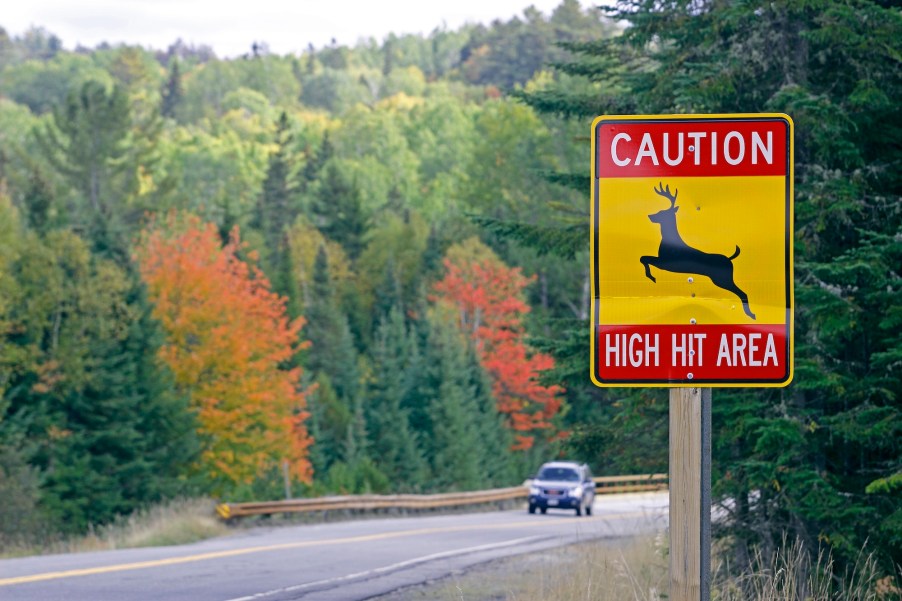 Fall foliage lines Route 16 at a deer crossing in Franklin County, Maine