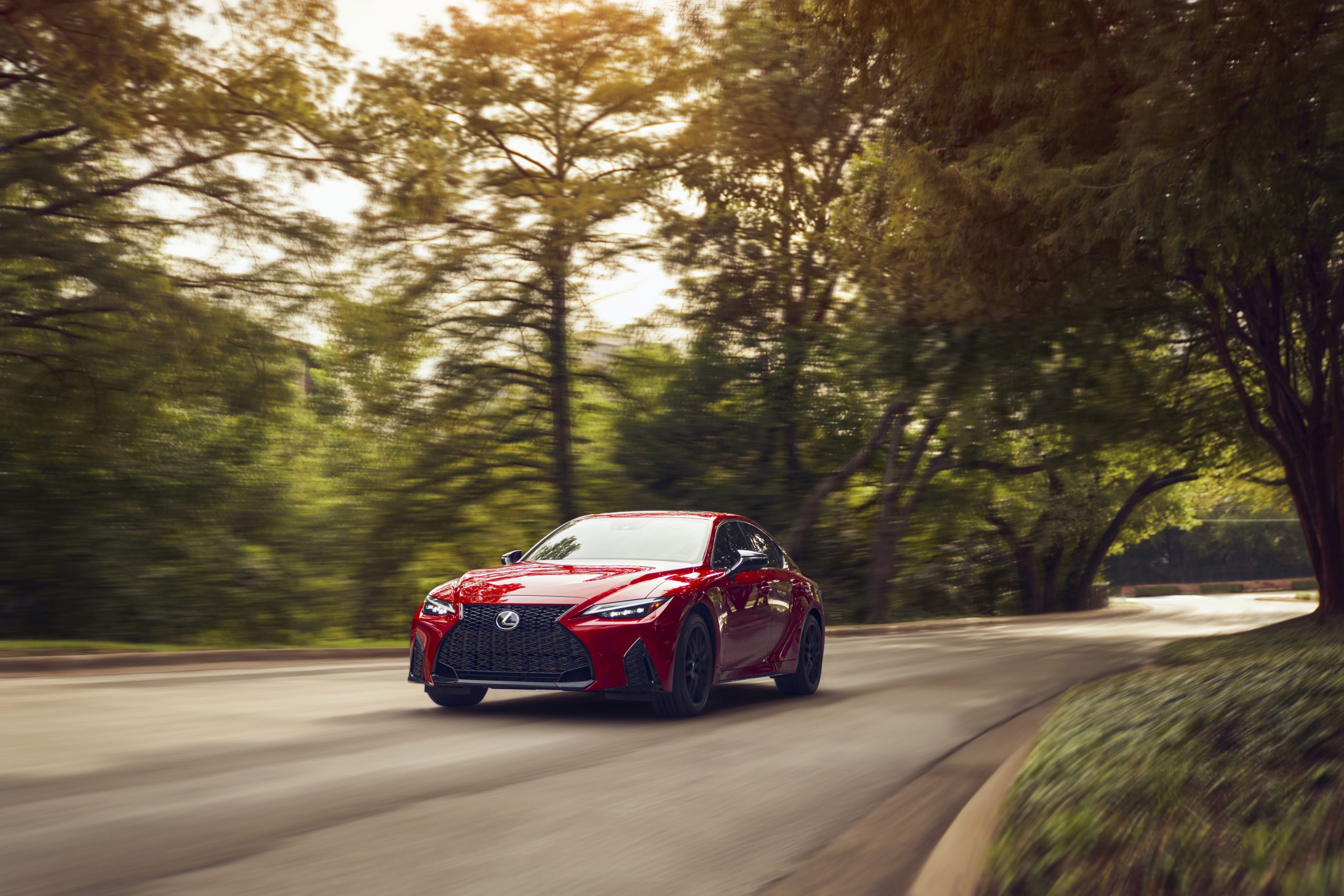 A red 2021 Lexus IS driving on a tree-lined road