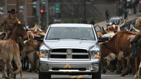 A Ram truck in the middle of the street surrounded by horses