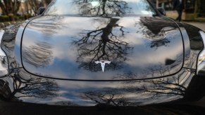 A shiny Tesla hood sits in the sun