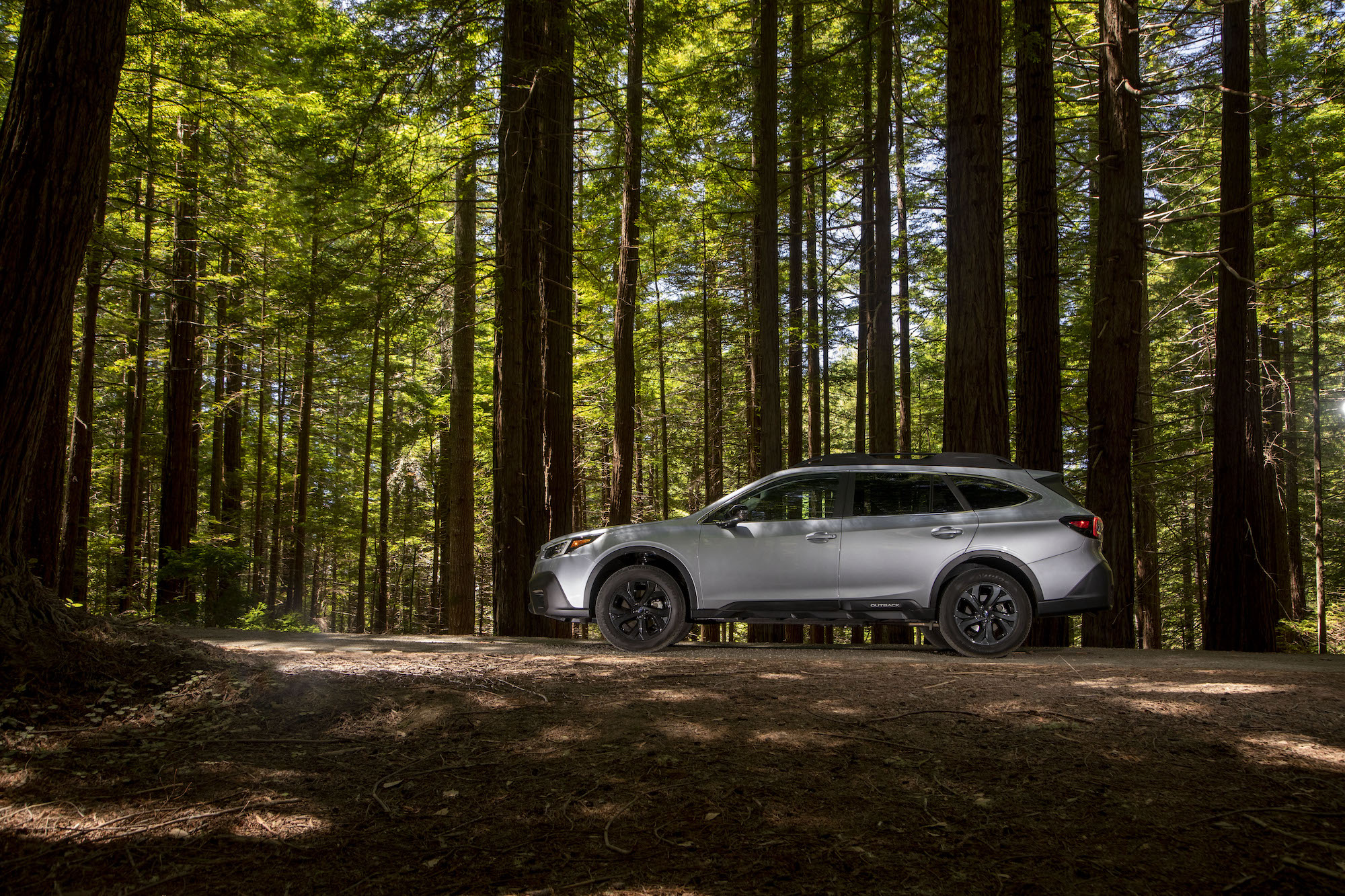 A side view of a silver 2020 Subaru Outback midsize SUV parked in a sun-dappled forest