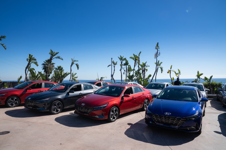 2021 Hyundai Elantra sedans lined up in front of palm trees, a blue sky, and a large body of water