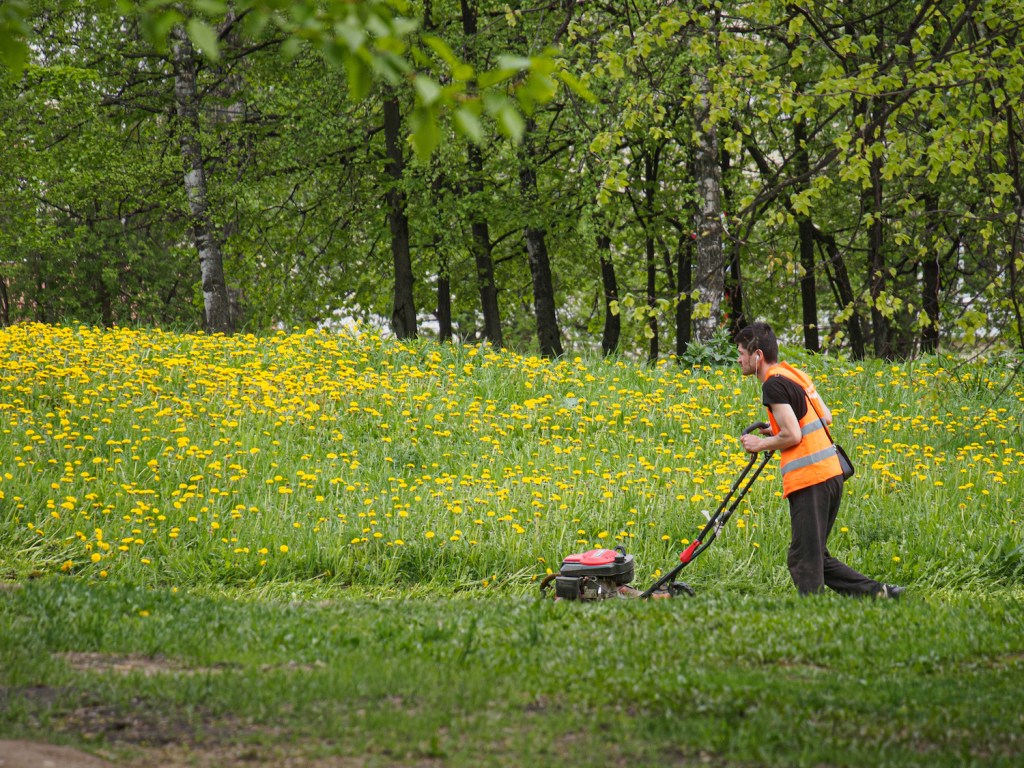 A man using a push lawn mower to mow grass
