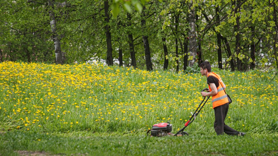 A man using a push lawn mower to mow grass