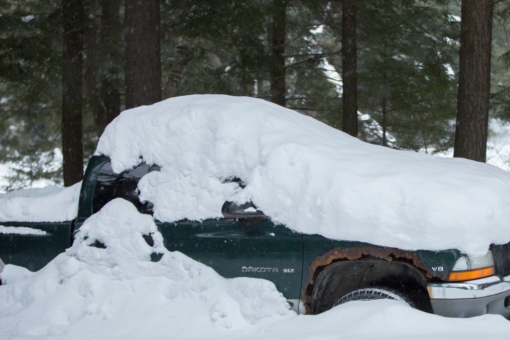 A green Dodge Dakota pickup truck under the snow