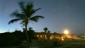 A breeze sways the fronds of a coconut palm as dusk brings out the stars over Fort Jefferson on Garden Key in Dry Tortugas National Park, Florida