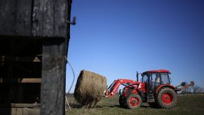 a Kubota Tractor lifts a round bale in a cow field