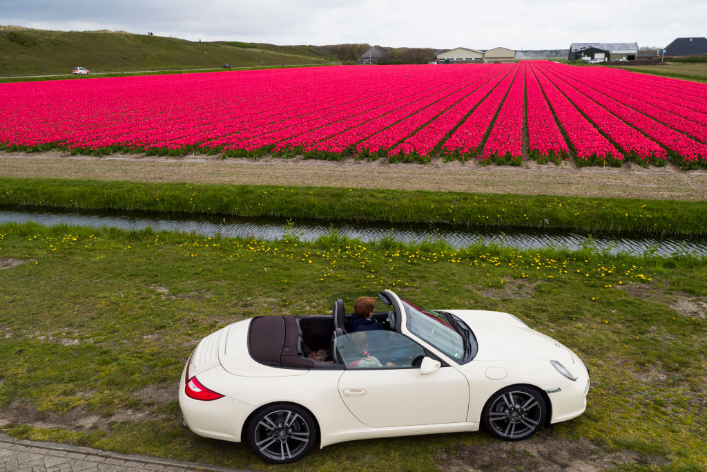 A white Porsche 911 sits in front of the blooming summer tulips