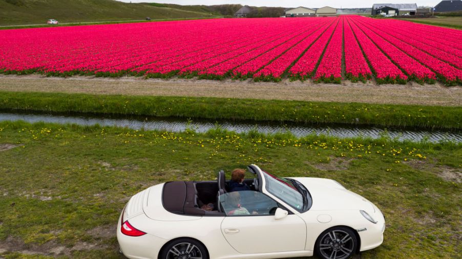 A white Porsche 911 sits in front of the blooming summer tulips