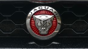 The red and silver badge of Jaguar, featuring the snarling big cat
