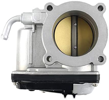 A large throttle body