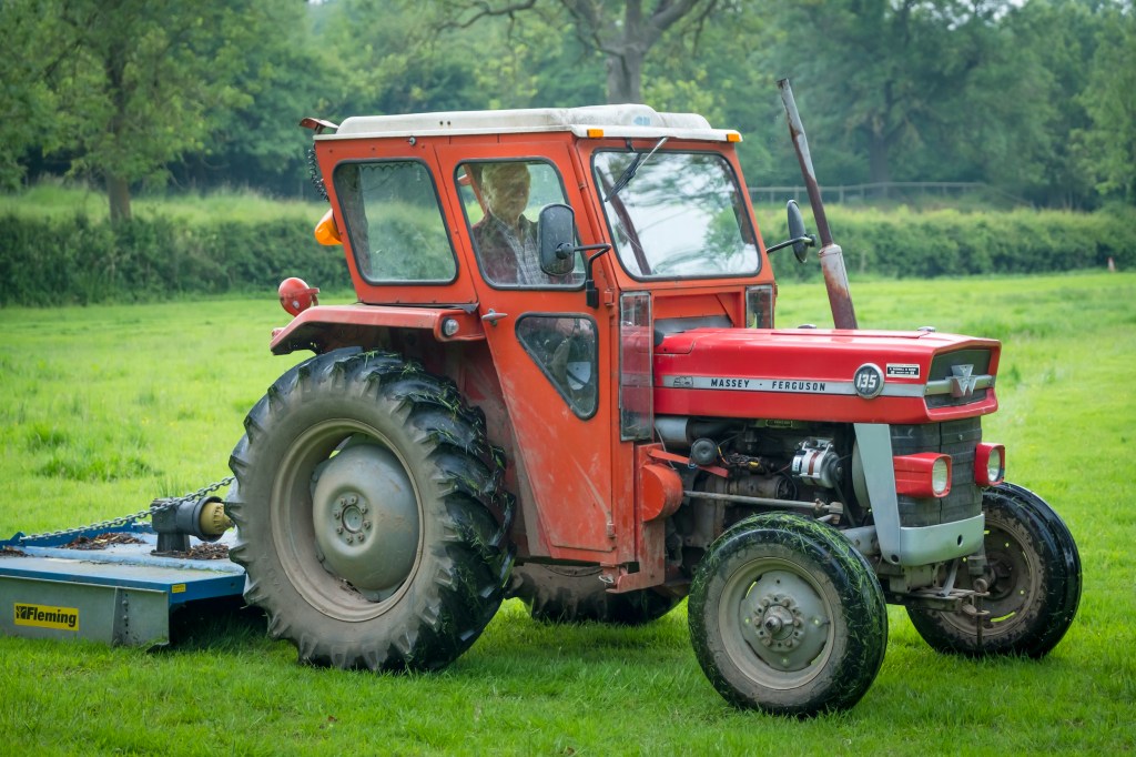 A red Massey Ferguson tractor in a grassy field. 