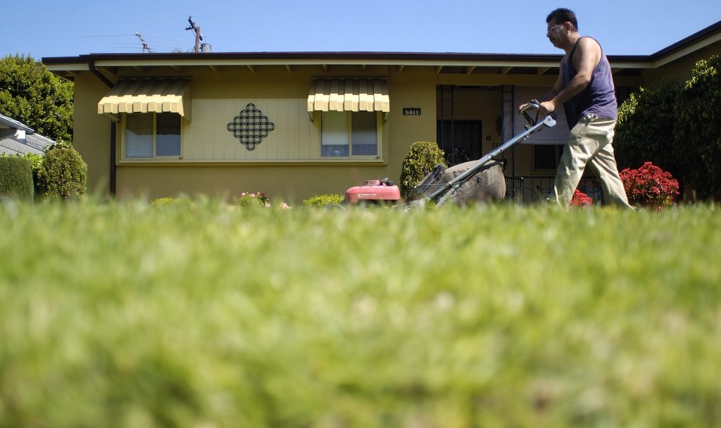 A man mowing the lawn using a push lawn mower