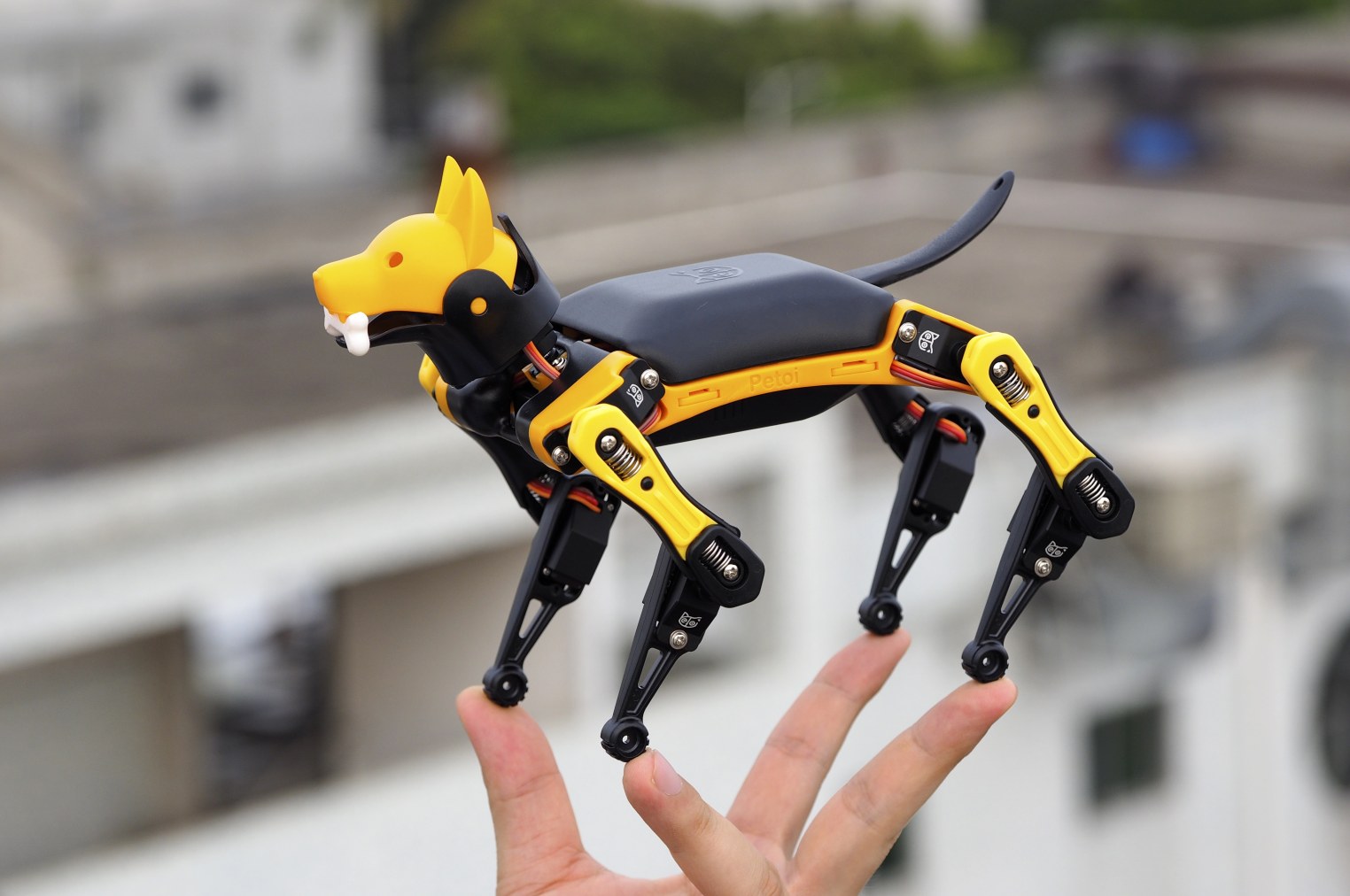 Build Your Own Mini-Robot Dog Like Boston Dynamics