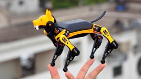 Petoi Robot Dog Bittle