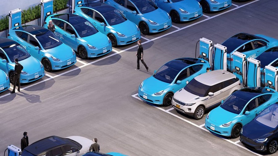 A parking lot full of blue Tesla Model Ys.