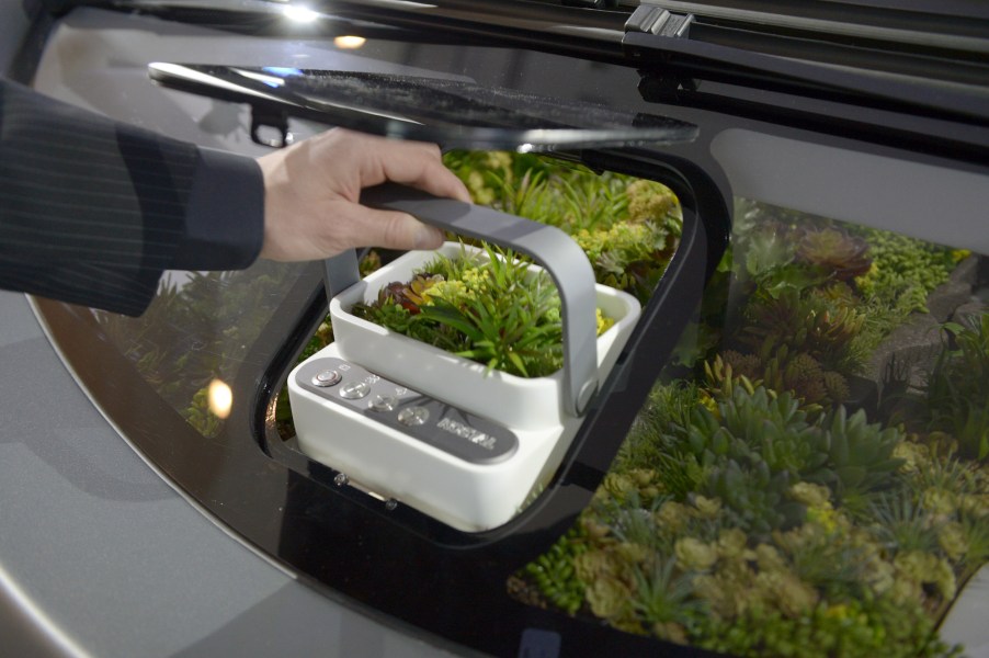 A small garden behind the dashboard of a Harman and Rinspeed car, the Oasis, in January 2017
