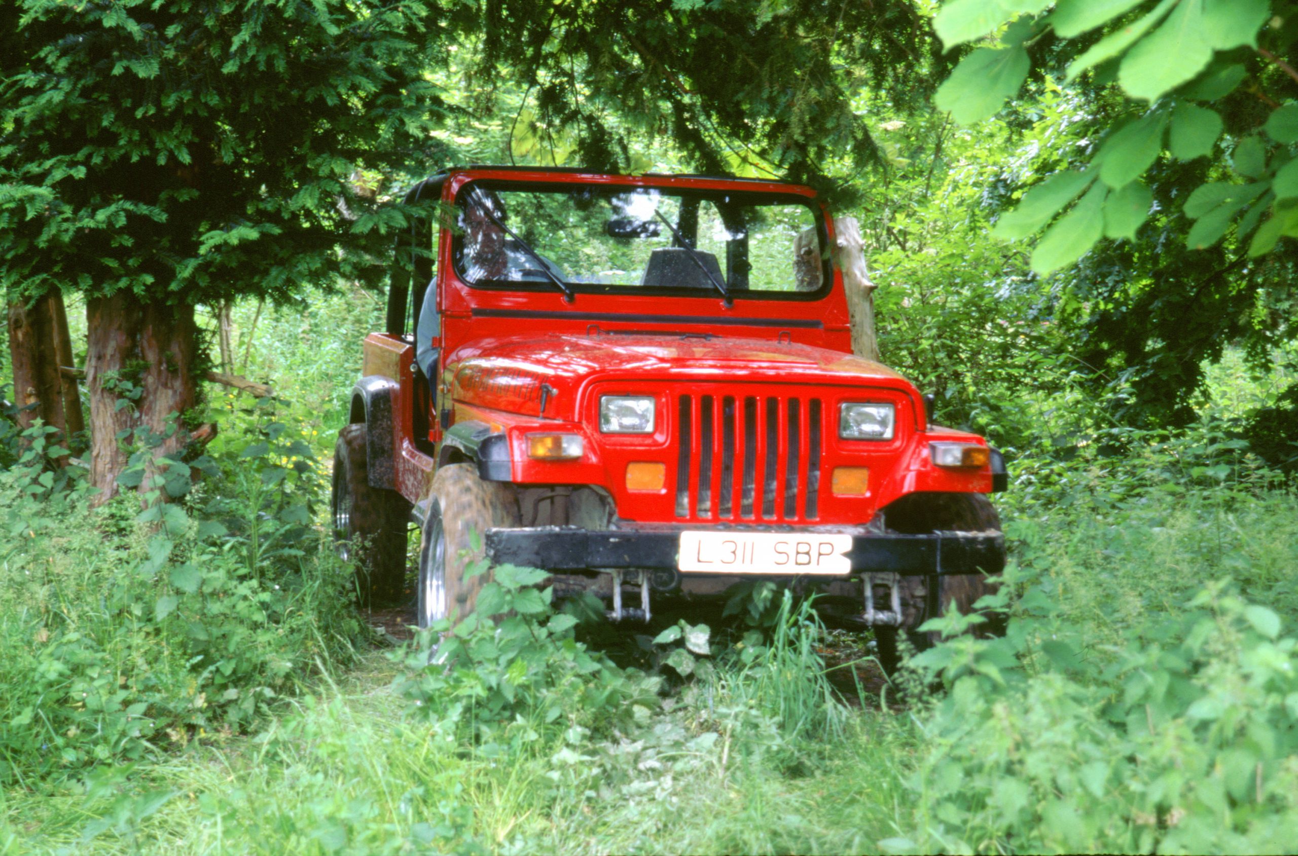 A red Jeep Wrangler SUV parked in trees