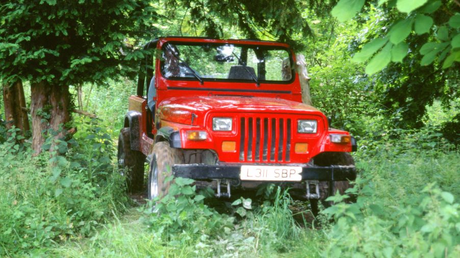 A red Jeep Wrangler SUV parked in trees