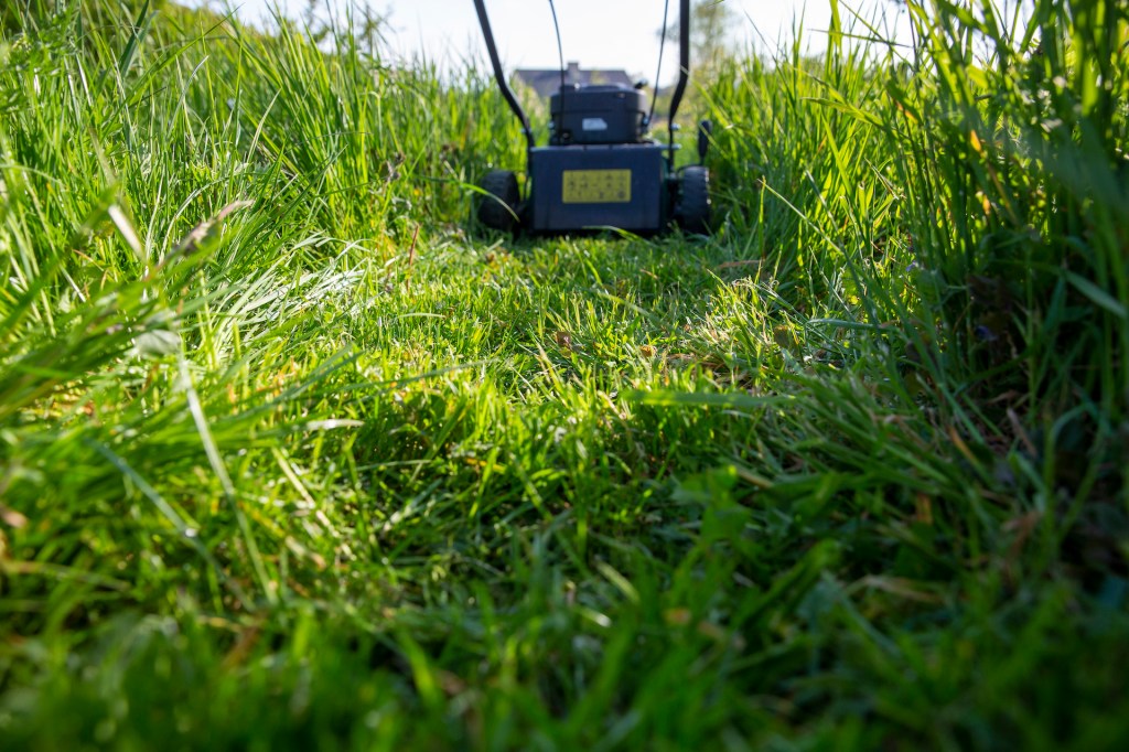 lawn mower in the tall grass
