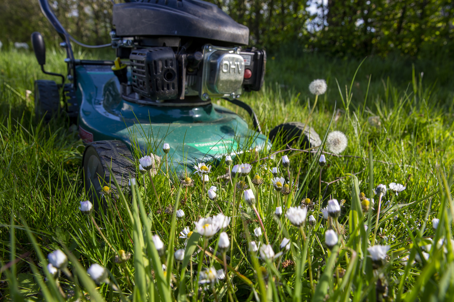 A lawn mower on the grass