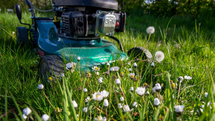 A lawn mower on the grass