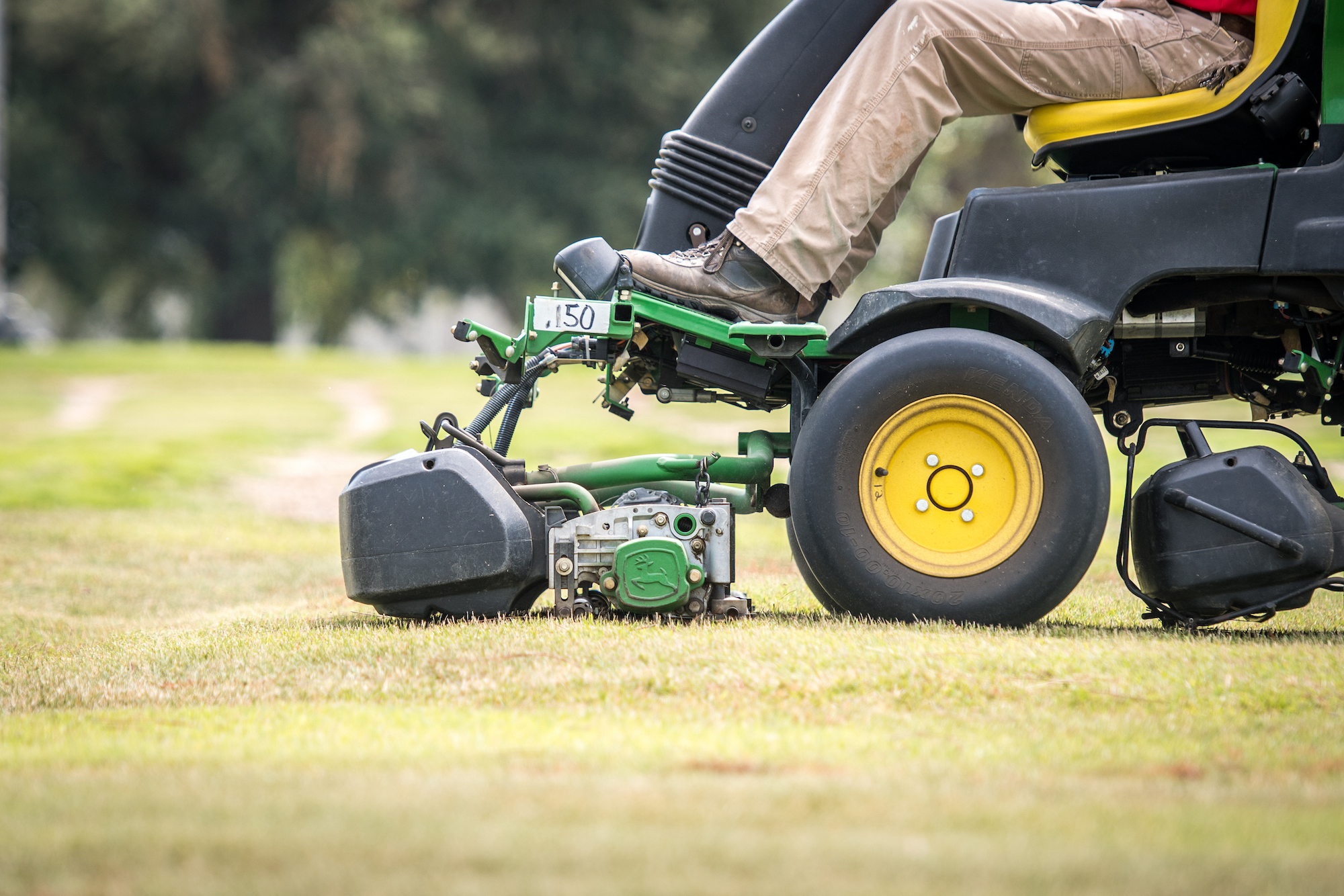 A man uses a riding lawn mower to cut turf grass in Tifton, Georgia