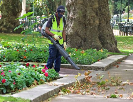 These 5 Battery Handheld Leaf Blowers Are Consumer Reports Best Buys