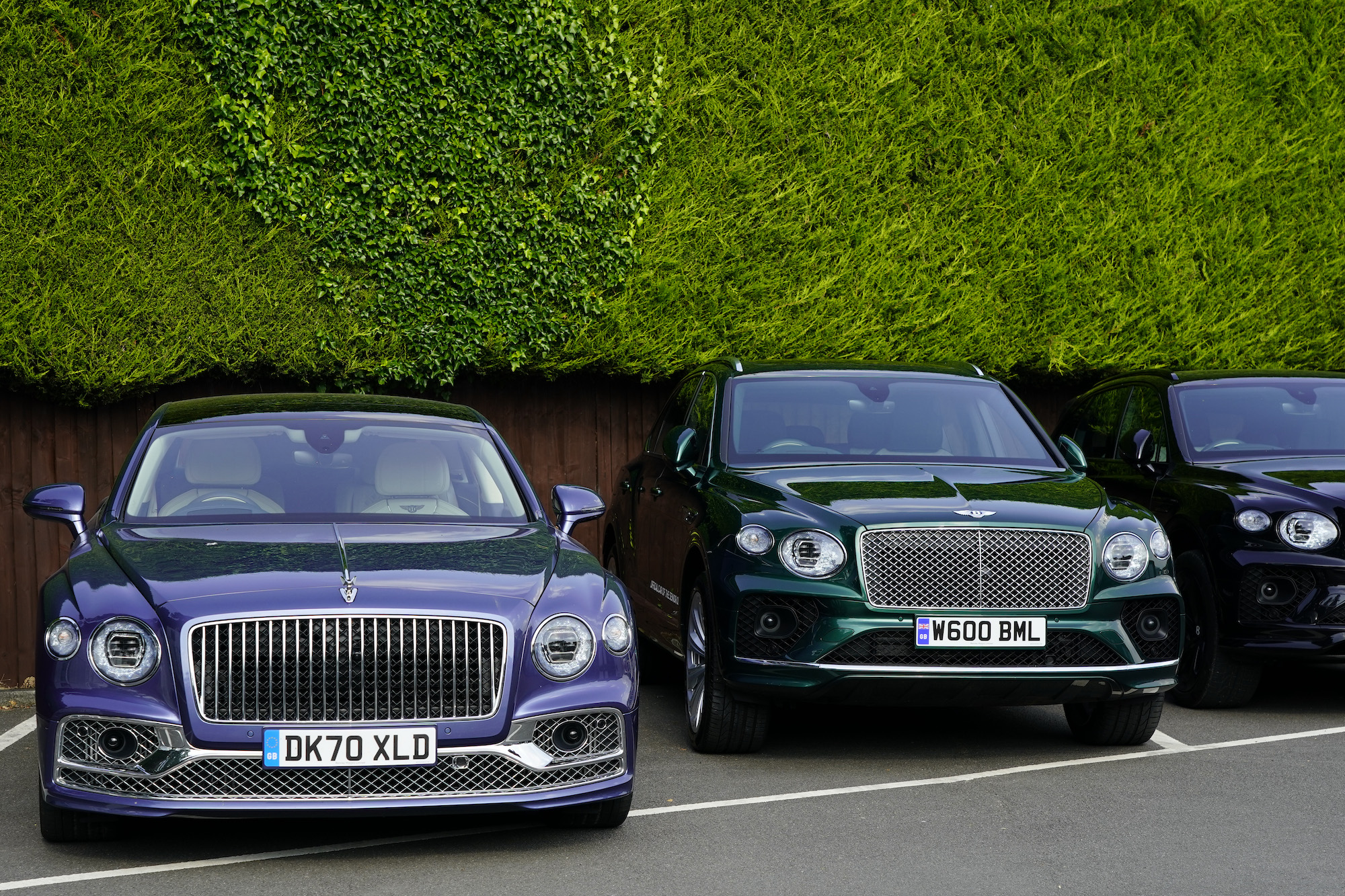 Bentley luxury cars lined up along a tall green hedge