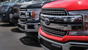 A line of Ford F-150 trucks in a parking lot, among the models not affected by the recent Ford recall