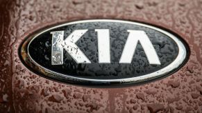 Close-up of the Kia logo on a burgundy color car with water raindrops.