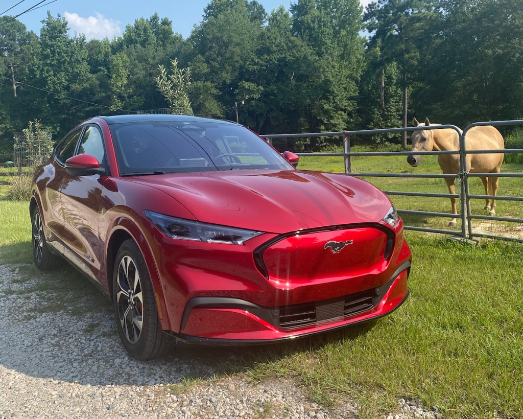 A red 2021 Ford Mustang Mach-E First Edition near a horse