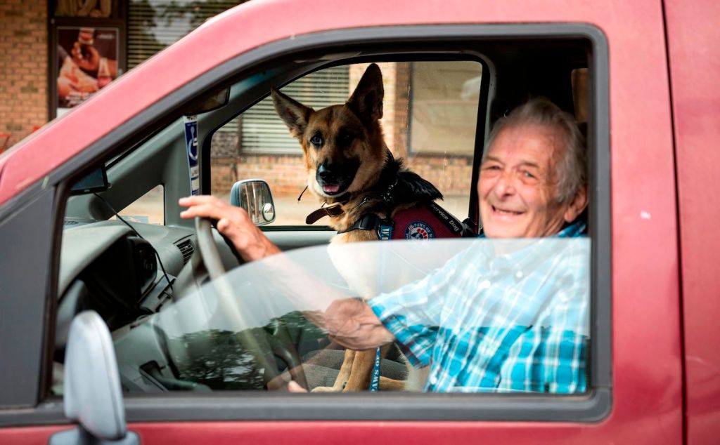 An elderly veteran behind the wheel of a red pickup truck with a service dog beside him, USAA is one of the best car insurance companies for military members