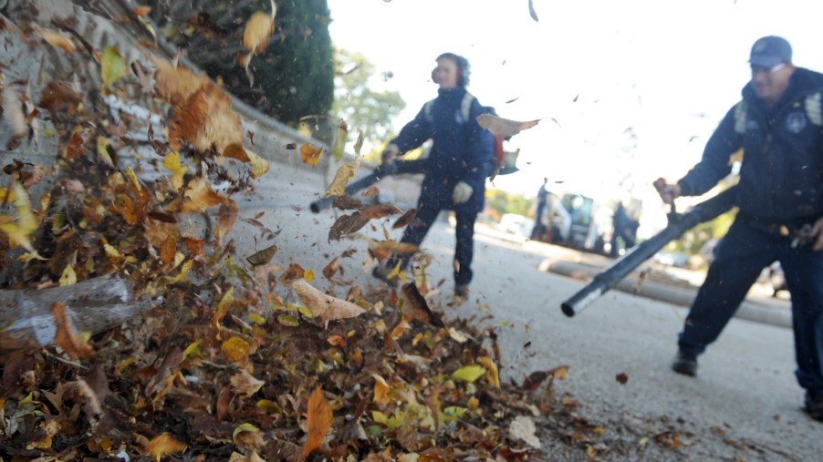 Two men use leaf blowers on a pile of leaves