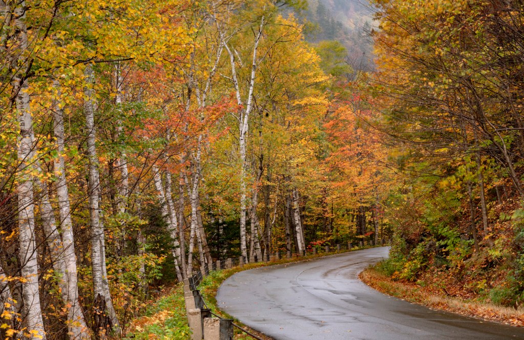 Fall foliage in Evans Notch, one of the best scenic drives for leaf-peeping in the northeast