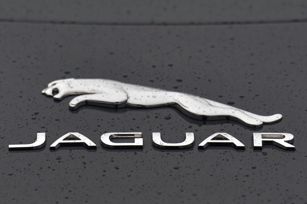A chrome Jaguar logo on a black car with water drops.