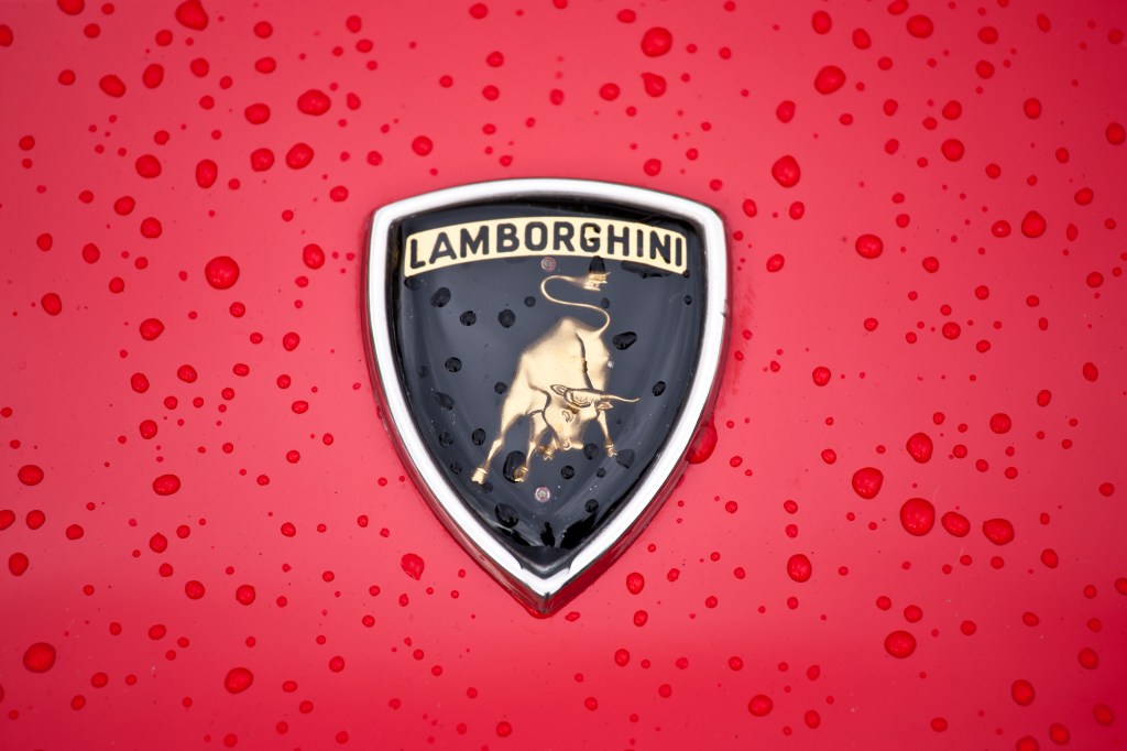 an upclose shot at a real Lamborghini badge as opposed to the Lamborghini Aventador replica built from a 2005 Pontiac GTO