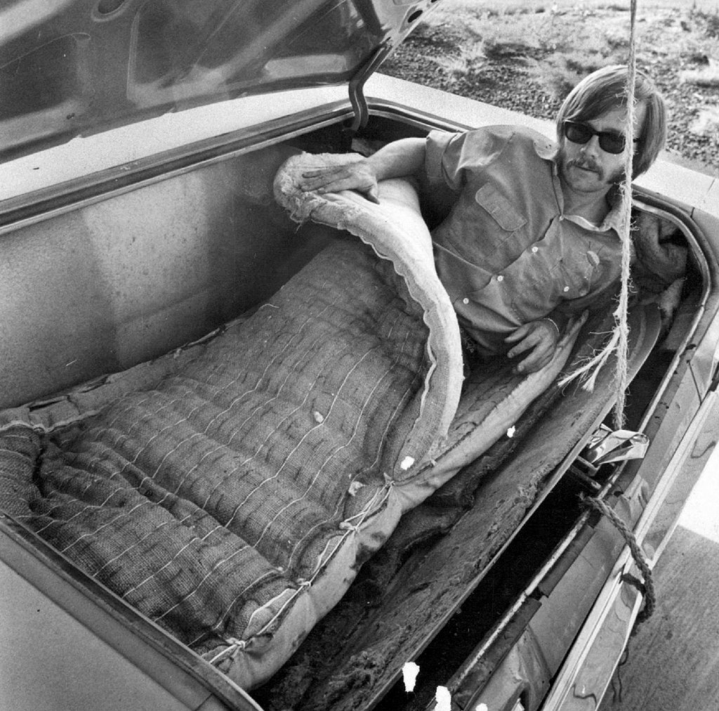 Man preparing to sleep in trunk of car