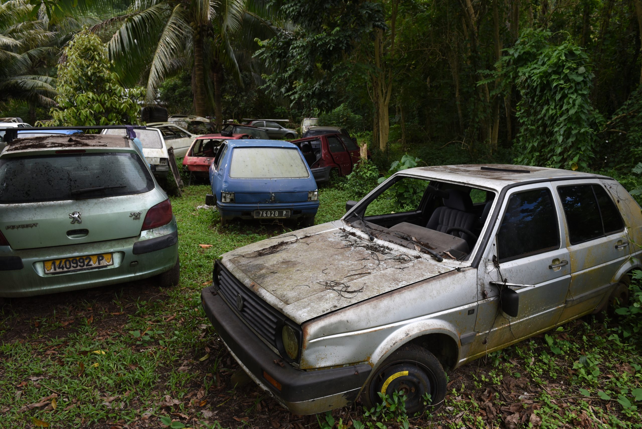 abandoned cars in a forest